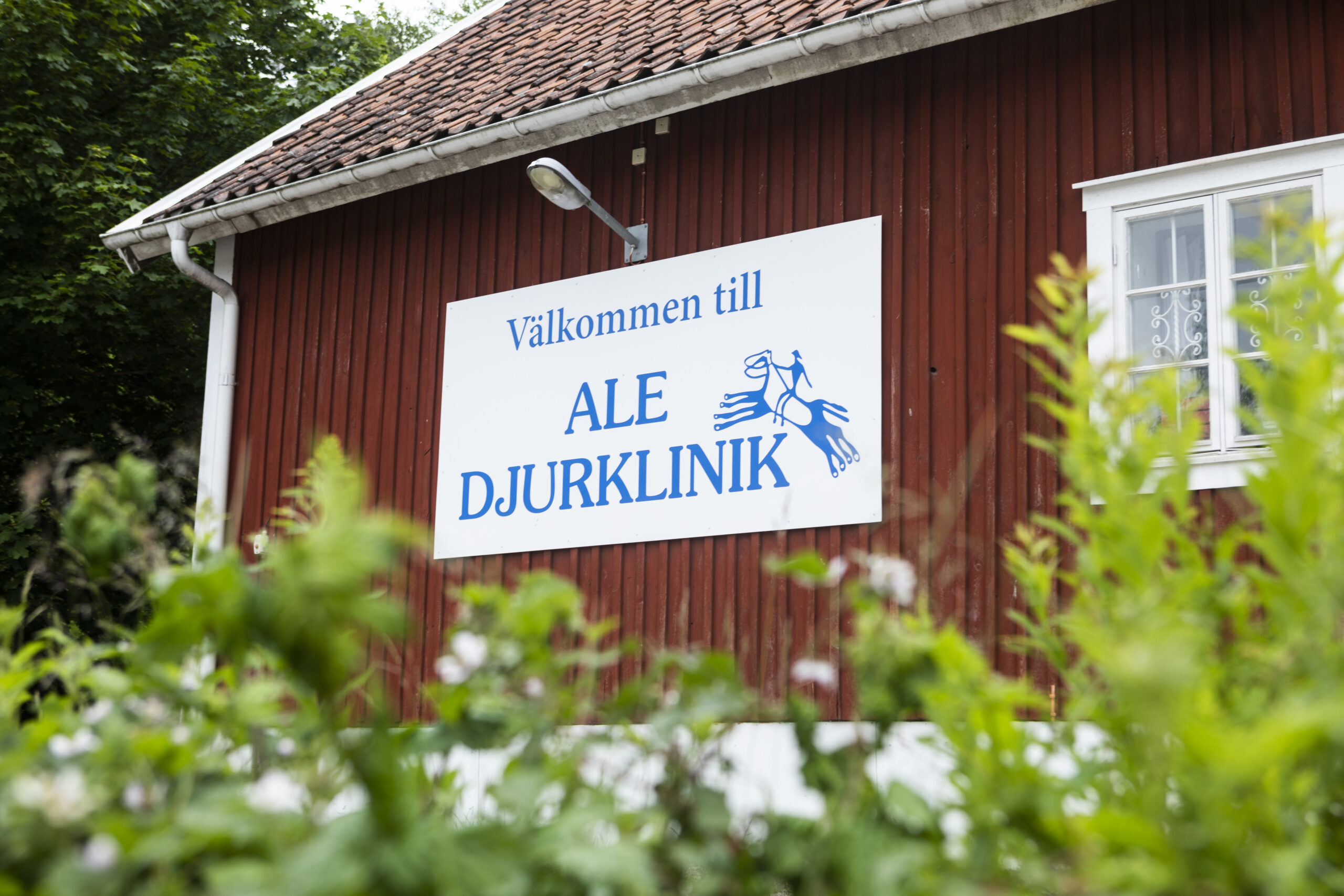 Högt tryck på djurklinikerna
