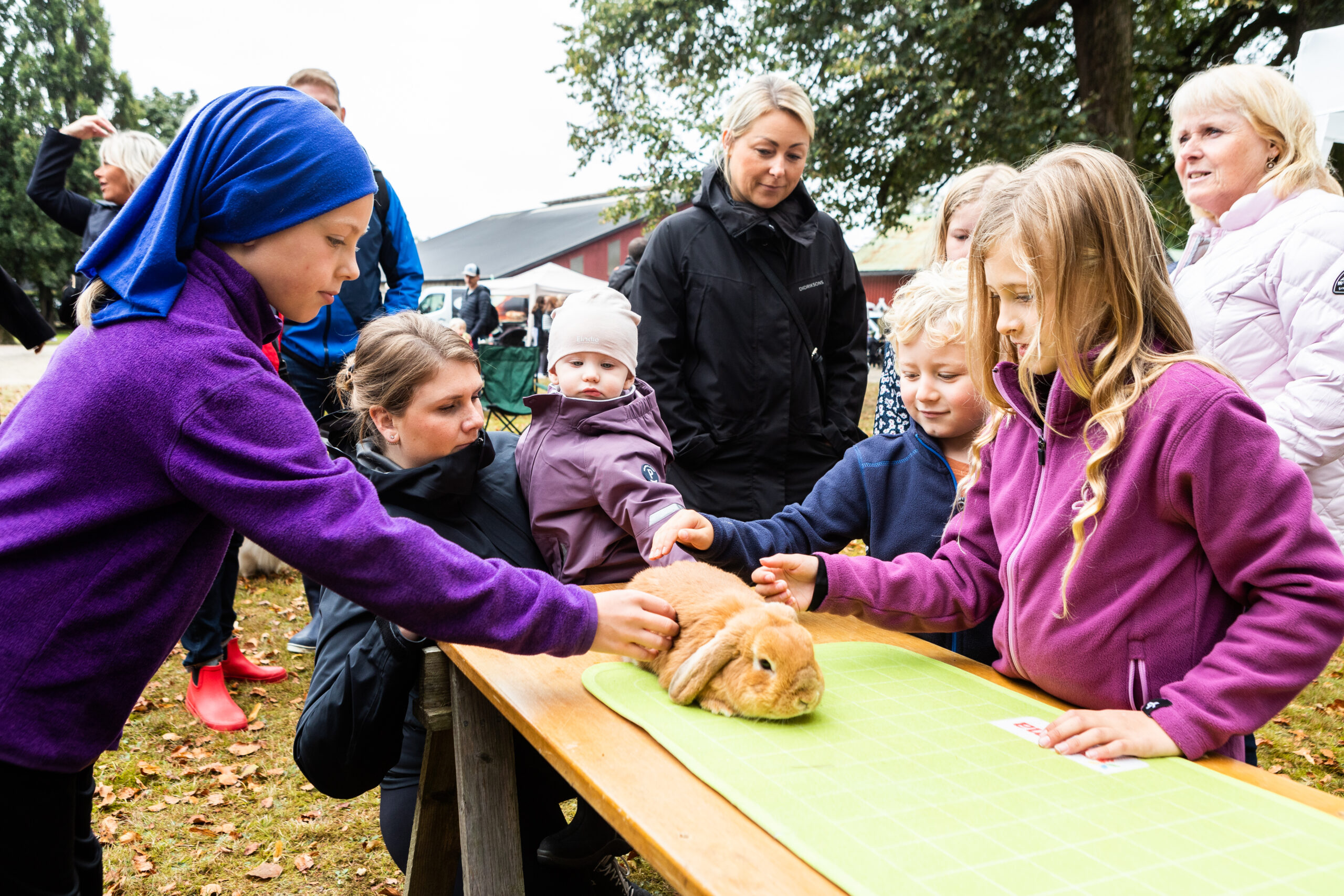 Efterlängtad återstart av Kilanda marknad - Alekuriren
