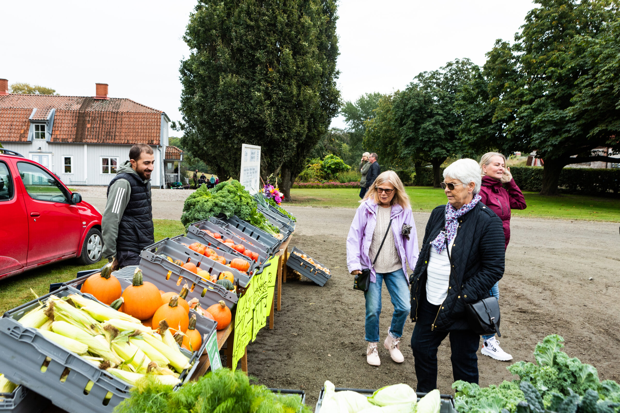 Efterlängtad återstart av Kilanda marknad - Alekuriren - Alekuriren