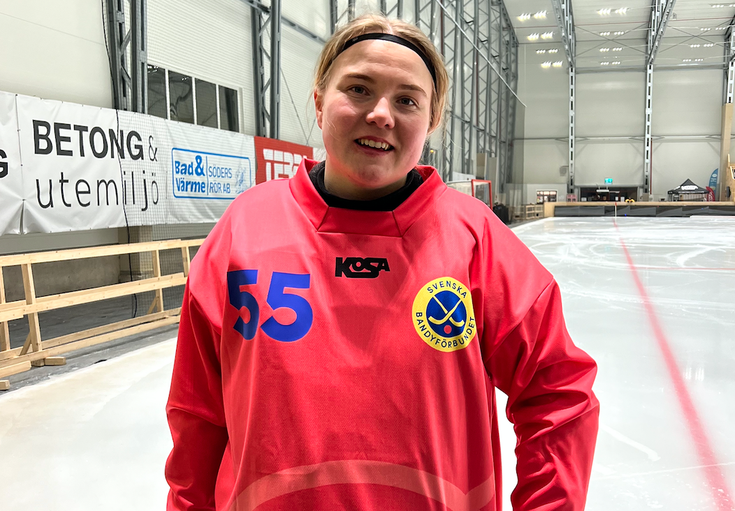 Världsmästare i bandy