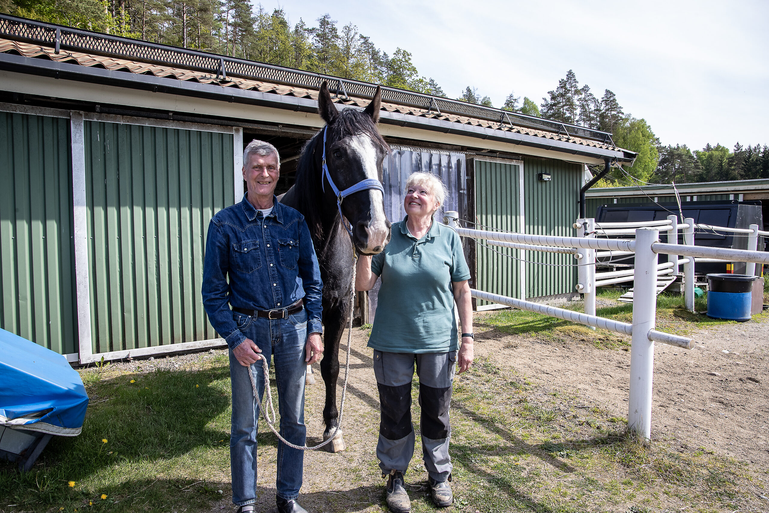Hästar skrämdes på flykt – bara Malle kom hem