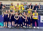 v2723 Basket-guld 2