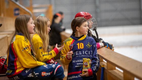 Alebyggenscup-2