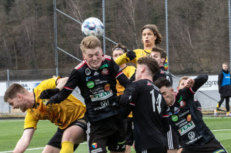 Harald hemsida