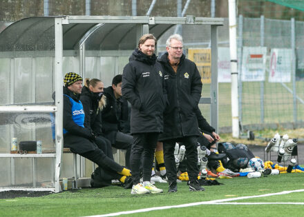 Niklas och Håkan