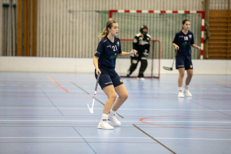 v1224 Ale IBF 2Johanna Henriksson copy