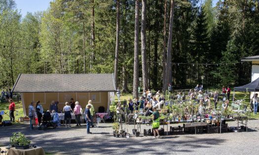 v2024 Tärdgårdsdag5