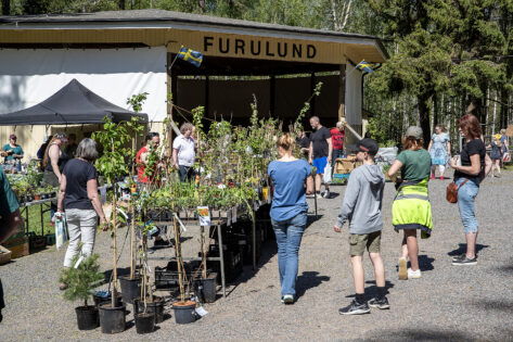 v2024 Trädgårdsdag1