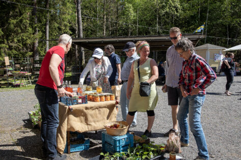 v2024 Trädgårdsdag4
