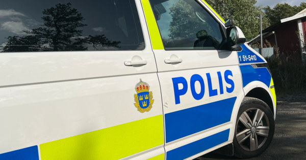 misshandel_träpåk