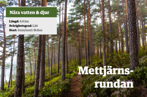 tips_3