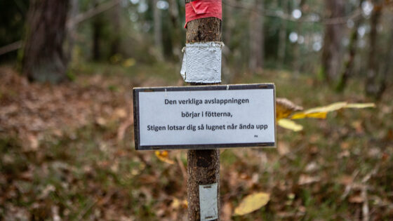 Väsenvandring-6