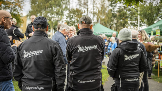 v4124 Alebyggen-2