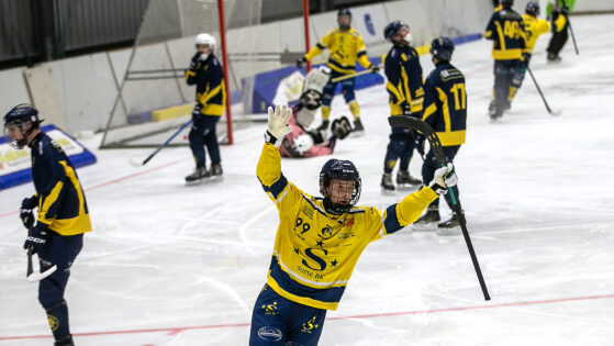 Robin Björkestam hemsida