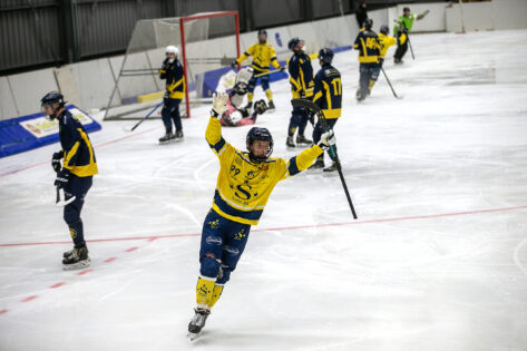 Robin Björkestam1