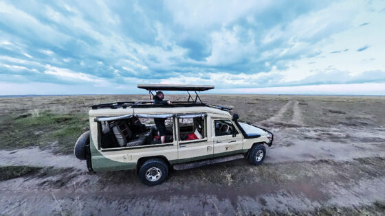 v4824 Siggesson Safari bil copy