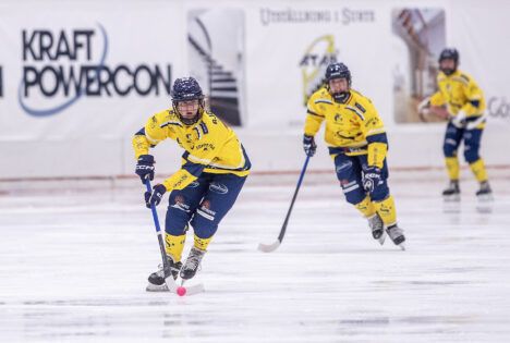 Bjökestam2