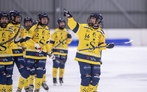 Björkestam