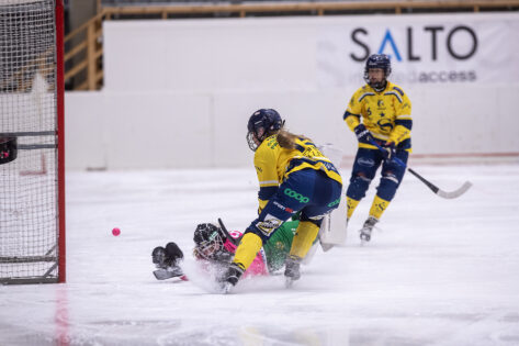 Klara Fischer mål