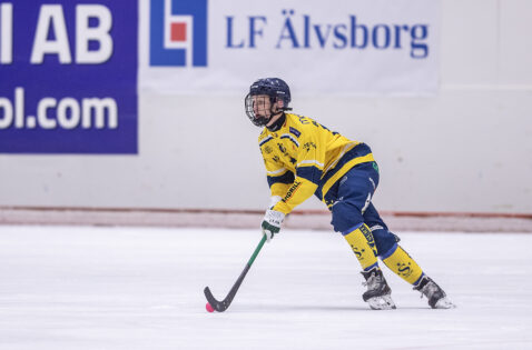 Robin Björkestam