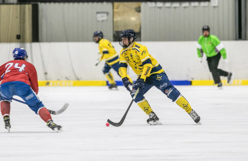 Linus Carlström kopiera