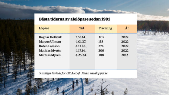 utvald bild webb mall