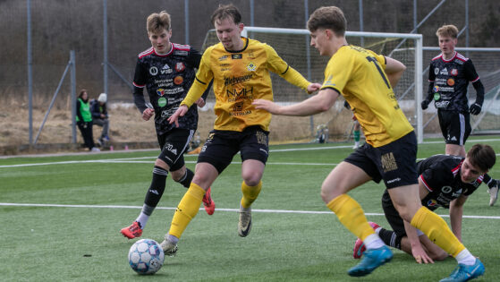 Alexander Lindahl3