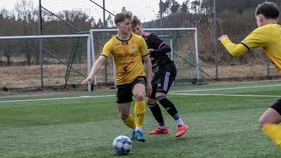 Felix Jerkersson2