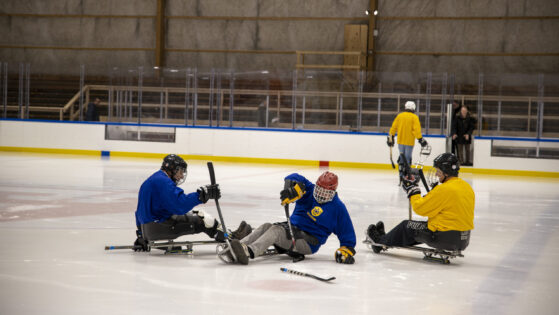Kälkhockey-31
