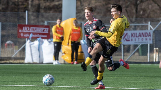 Nils Strandahl2