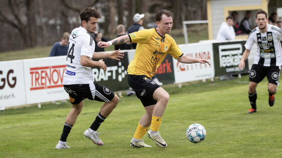 Alexander Lindahl