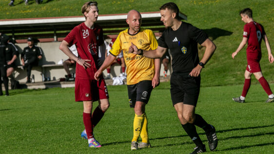 Kalle Hamfeldt beskuren