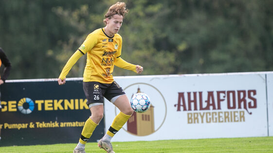 Linus Åvall