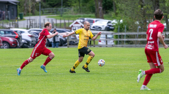 Niclas Elfving