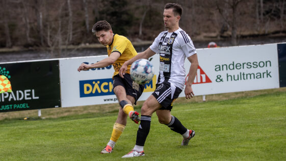 Nils Strandahl3