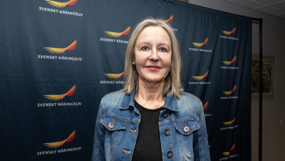 v2125 Svenskt Näringsliv företagsklimat Christina Riksén