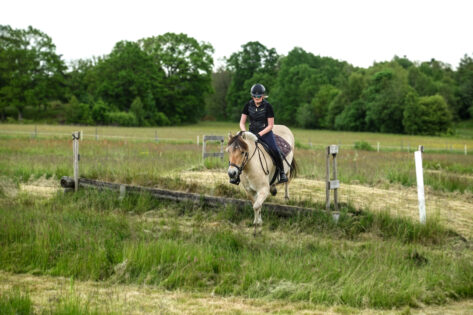 DSC06570 copy