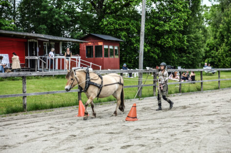 DSC06614 copy