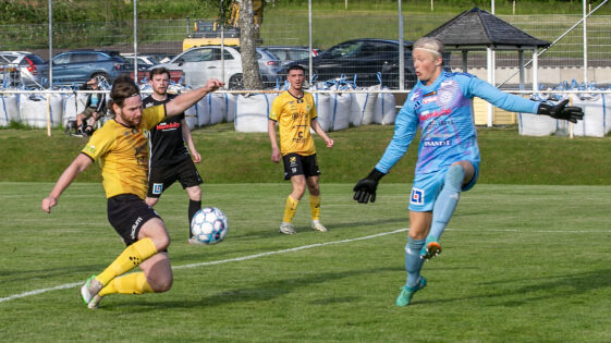 Daniel Tidstrand i box