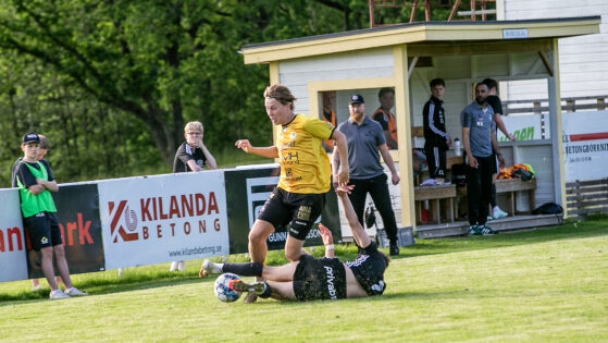 Linus Åvall skada
