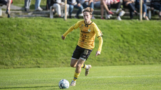 Linus Åvall5 copy