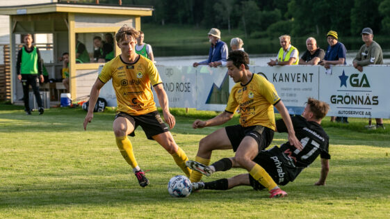 Spelbild