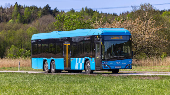 bussar-1