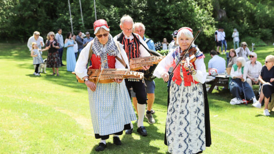 v2625 Midsommar Grönköp