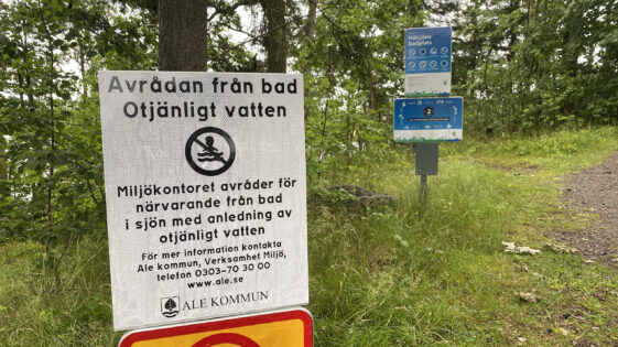 Hålsjön2