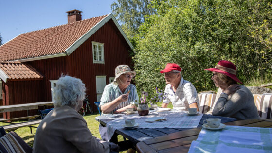 v2725 Föreningsresan4