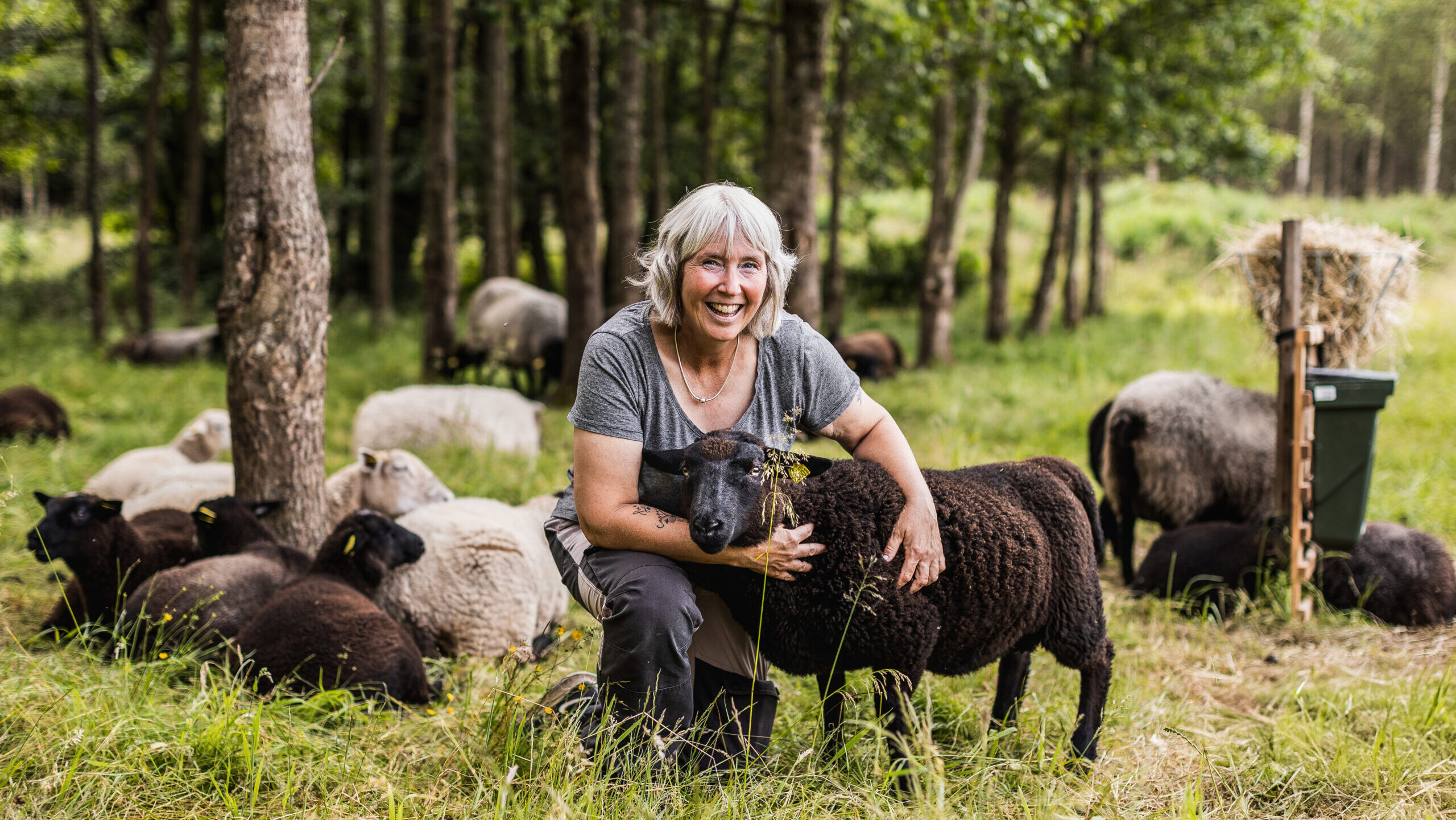 Ullas hjärta finns i fårhagen