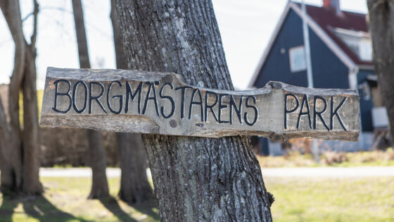 Borgmästarens park5