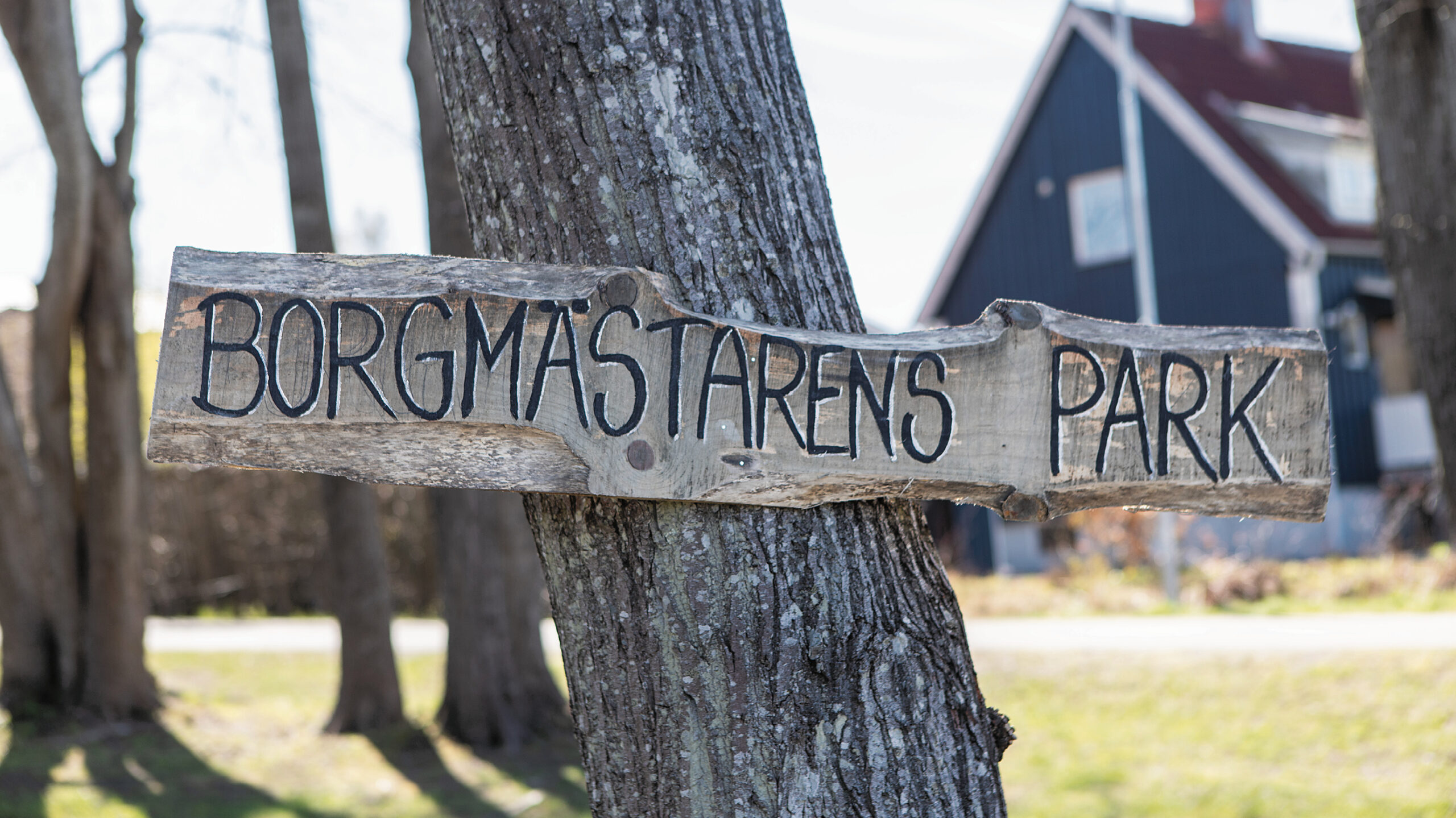 Borgmästarens park5