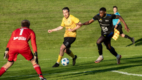 Frane Sirinic5
